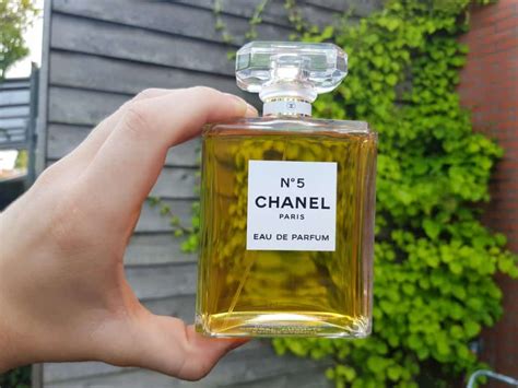 fragrances similar to chanel no 5|More.